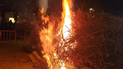 WhatsApp Image 2026-01-17 at 22.33.46