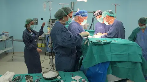 p1jfiah22gvma1jbtp951v4vkfa4