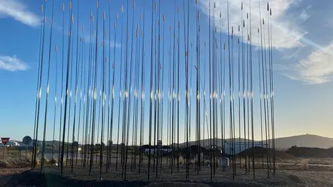 WhatsApp Image 2026-01-22 at 13.13.39 (1)