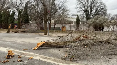 WhatsApp Image 2026-01-28 at 11.29.54