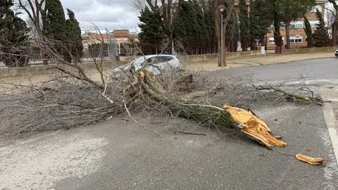 WhatsApp Image 2026-01-28 at 11.29.55