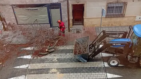 WhatsApp Image 2026-01-28 at 11.55.06