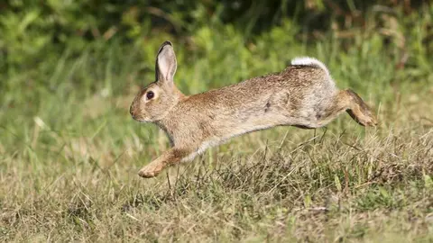 p1jgl90iknh6k11p31dp61ihntr4