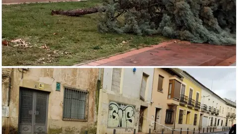 WhatsApp Image 2026-02-13 at 14.18.34