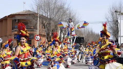 primer premio comparsa visitante