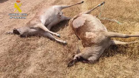 Presentaci&oacute;n2