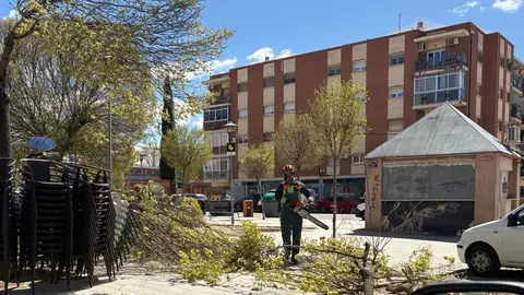 WhatsApp Image 2026-03-29 at 14.35.21