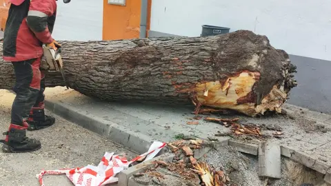 Image 2026-04-07 (2)