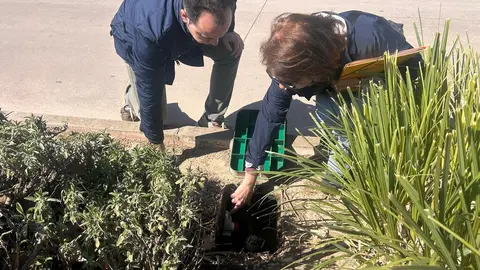 WhatsApp Image 2026-03-26 at 11.49.47 (7)