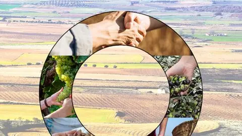 INFORME EJECUTIVO 2025