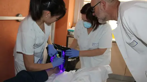 F1 MolecuLight Alc&aacute;zar.JPG