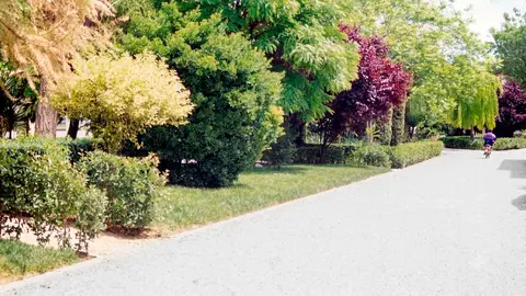 Jardines del Pozohondo