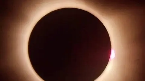 1000392970