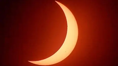 1000392971