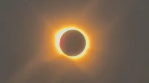 1000393266