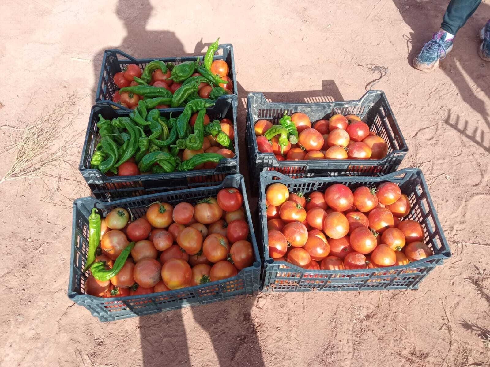 WhatsApp Image 2023-07-20 at 12.32.30 (2)