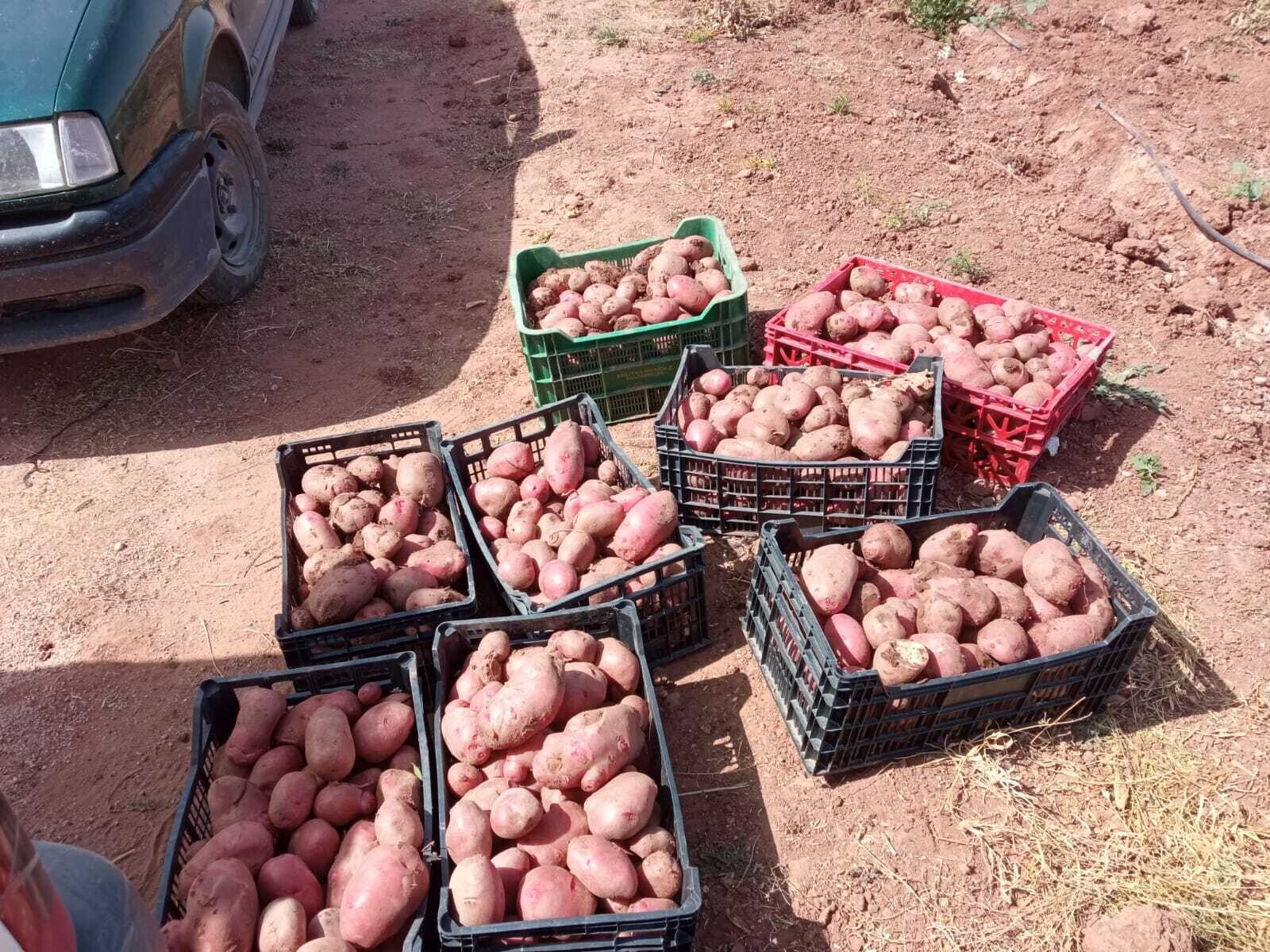 WhatsApp Image 2023-07-20 at 12.32.30