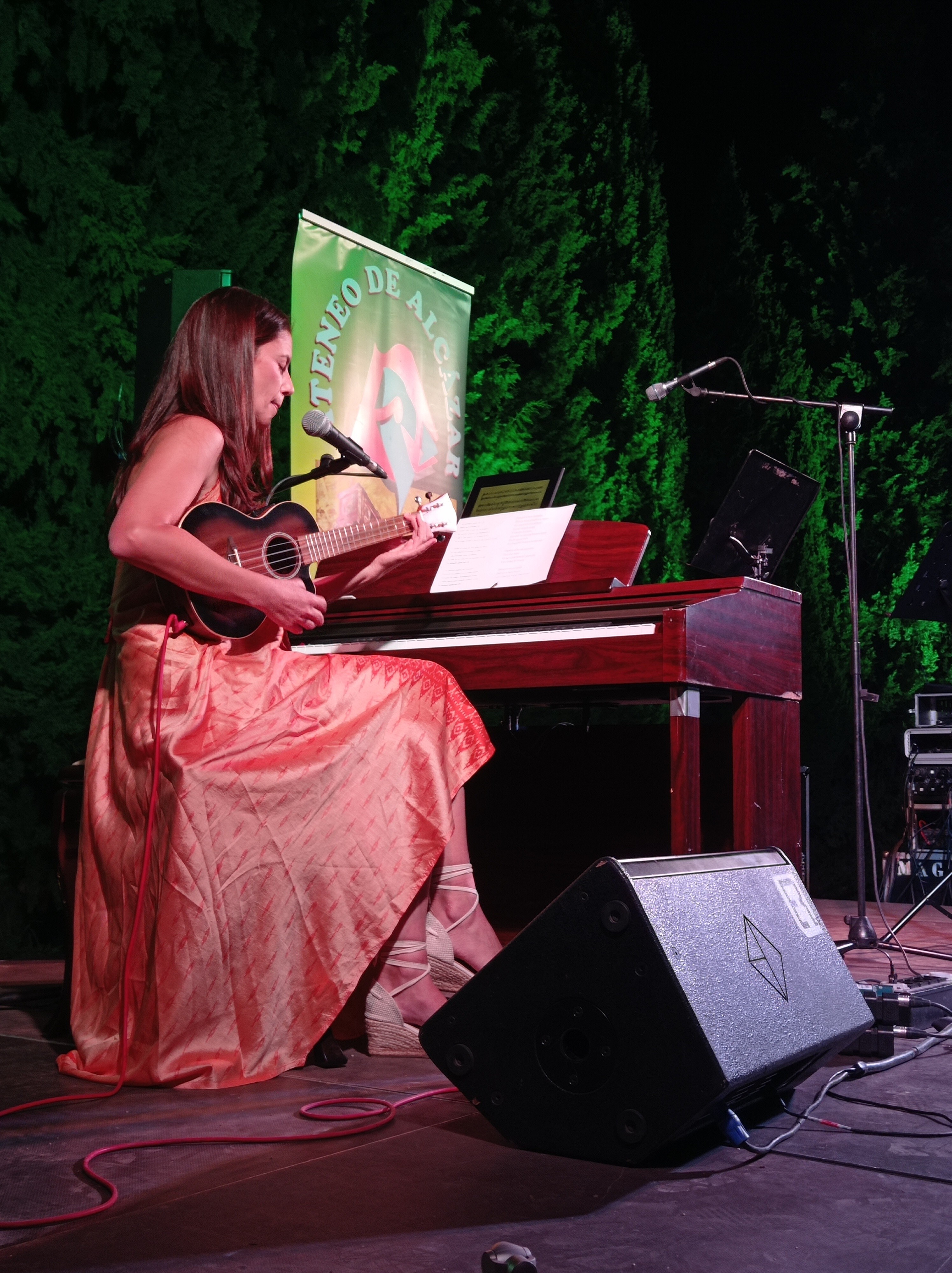 ESCENARIOS DE VERANO NOCHE DE LA POESIA ATENEO (3)