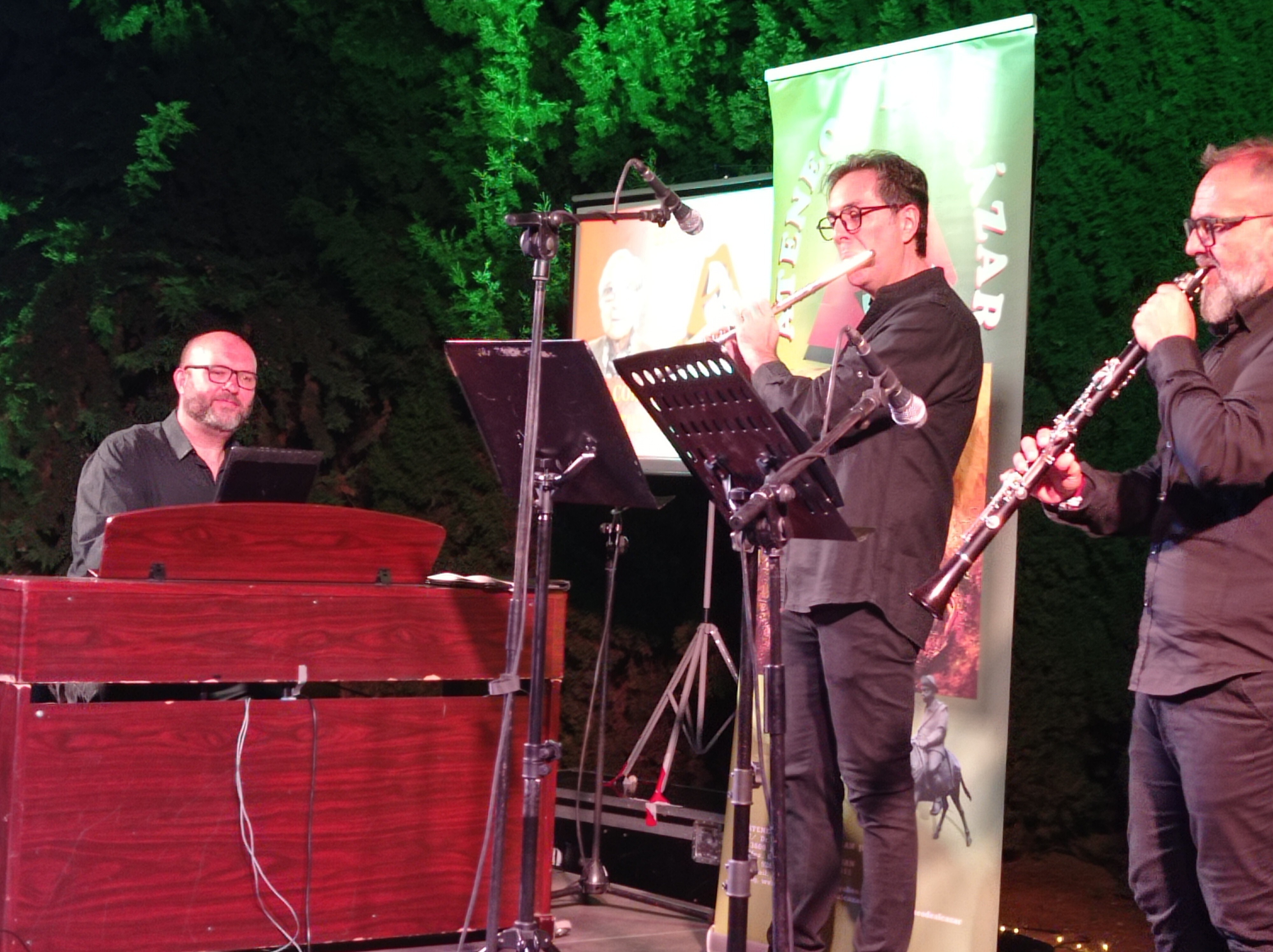 ESCENARIOS DE VERANO NOCHE DE LA POESIA ATENEO (5)