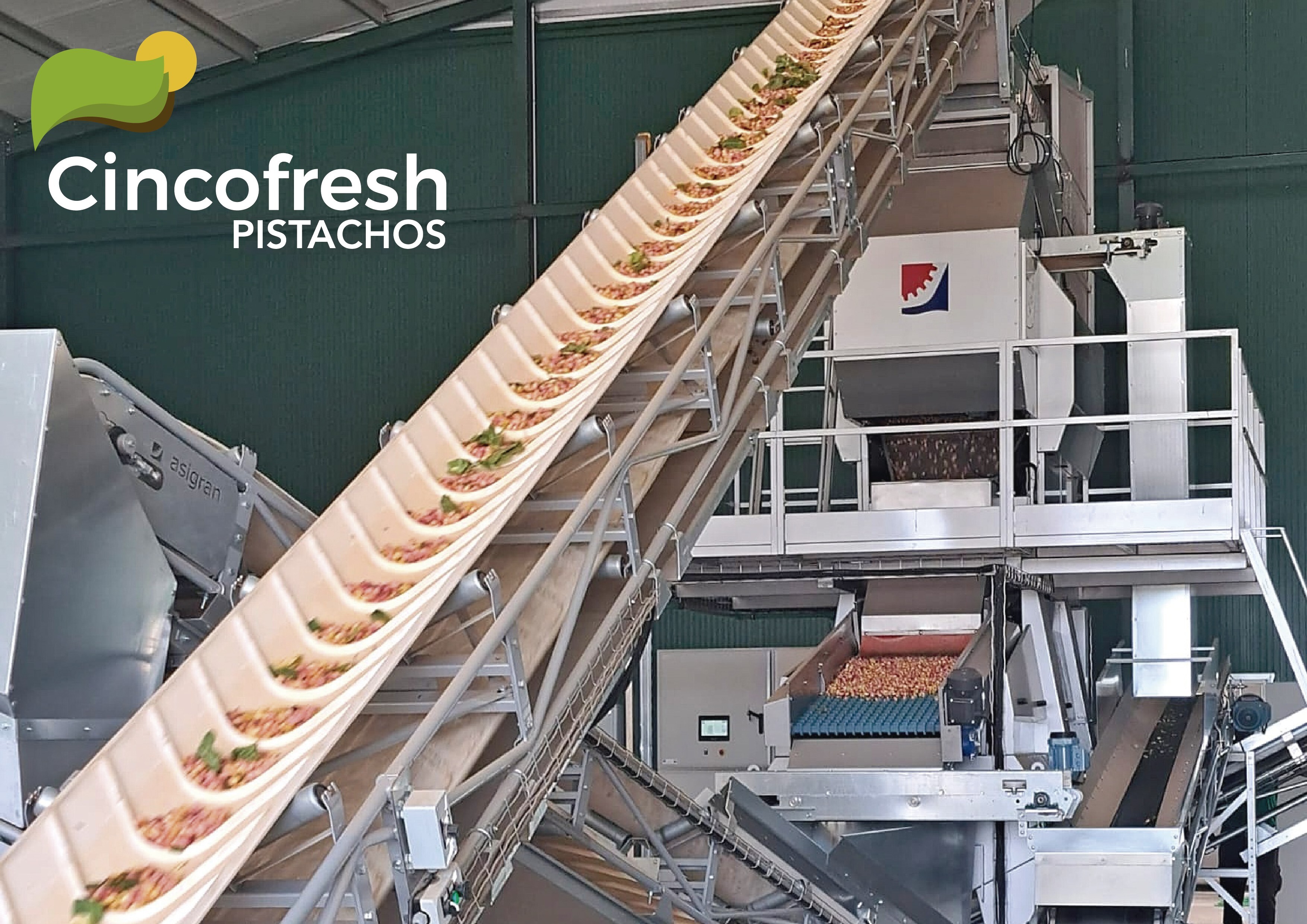 CINCOFRESH PISTACHOS-01