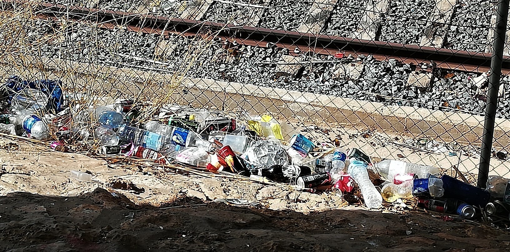 IMG_20230919_121959_resized_20230919_123119346