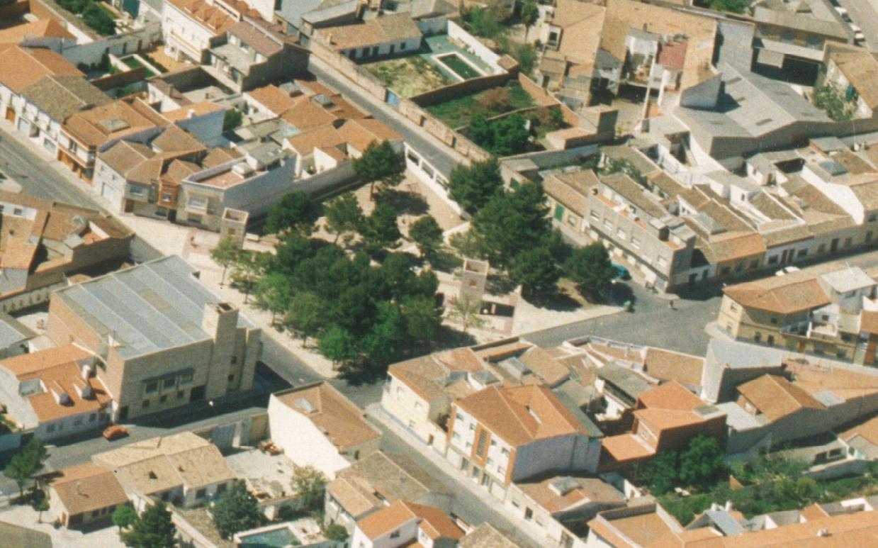 Foto actual donde se aprecia la inclinación de algunos árboles