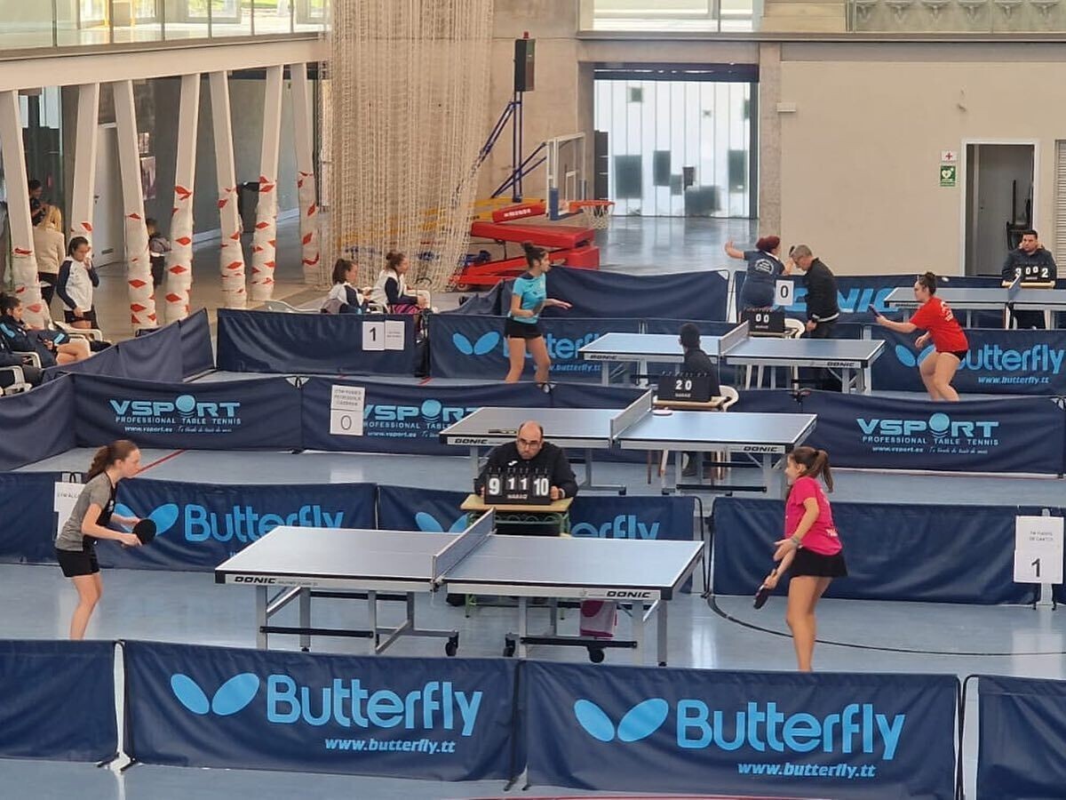 403631058_18204830635279727_4841134151473659960_n