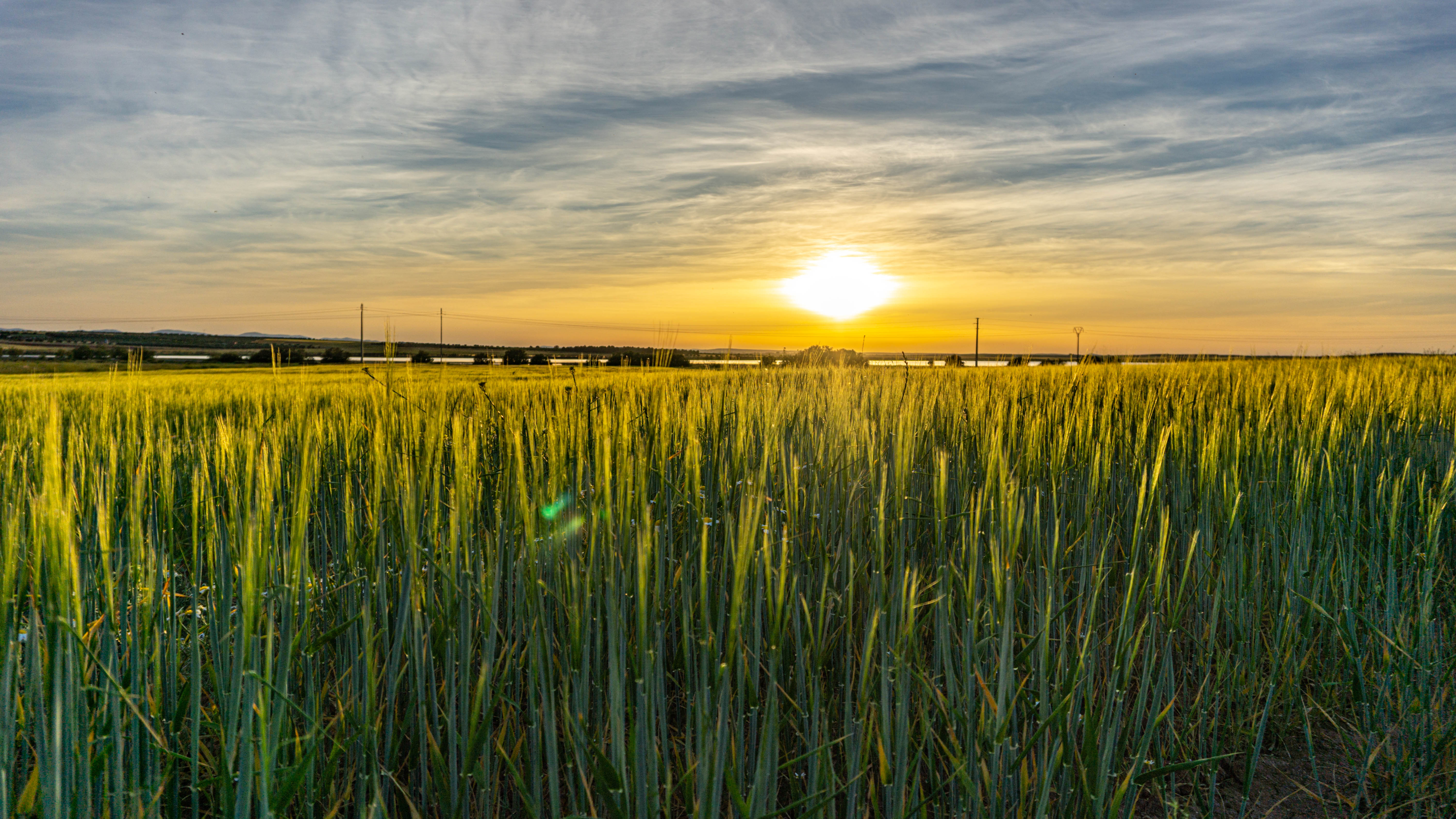 Paisaje Camino Villafranca