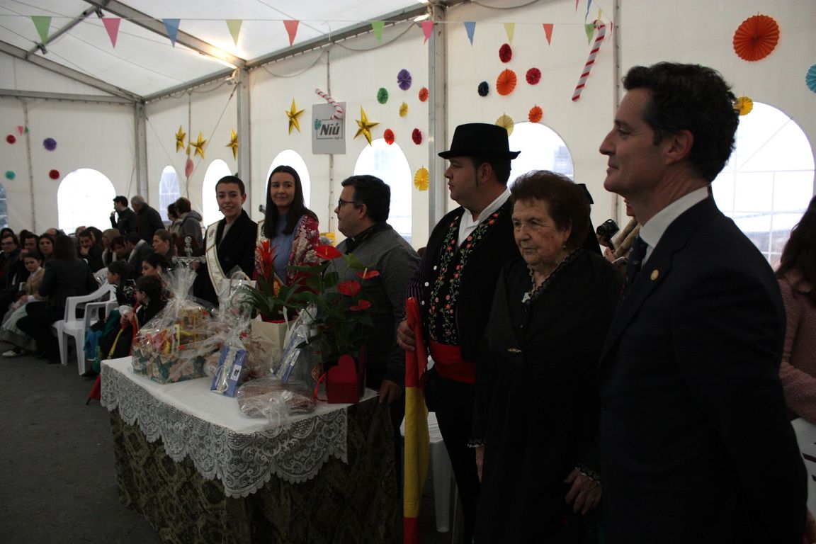 balance carnaval, ofertorio