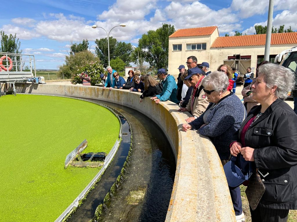 WhatsApp Image 2024-05-03 at 13.31.49