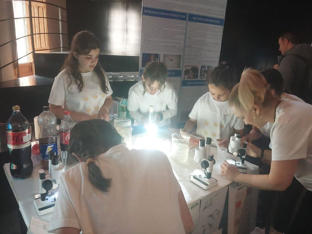 photo_2024-05-16_22-14-43