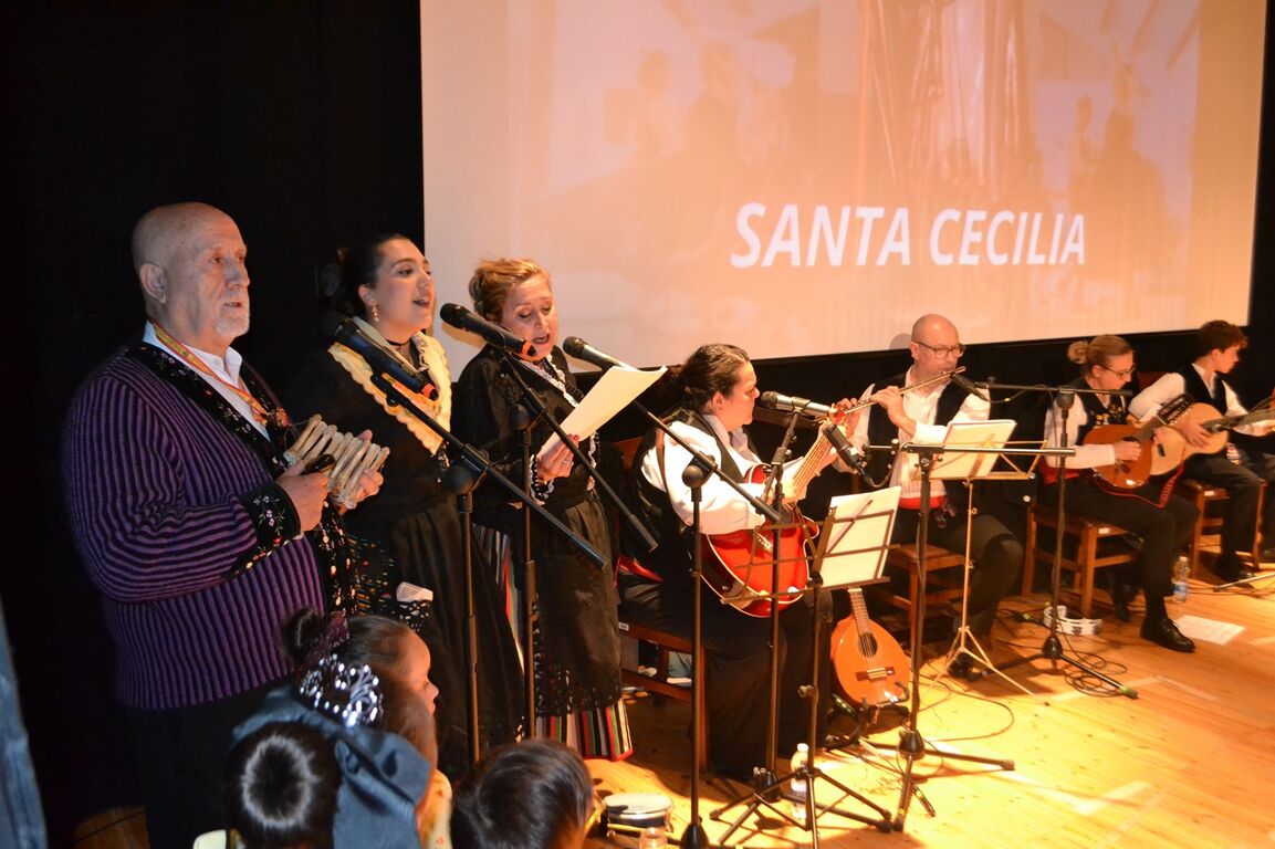 festival de folclore, músicos