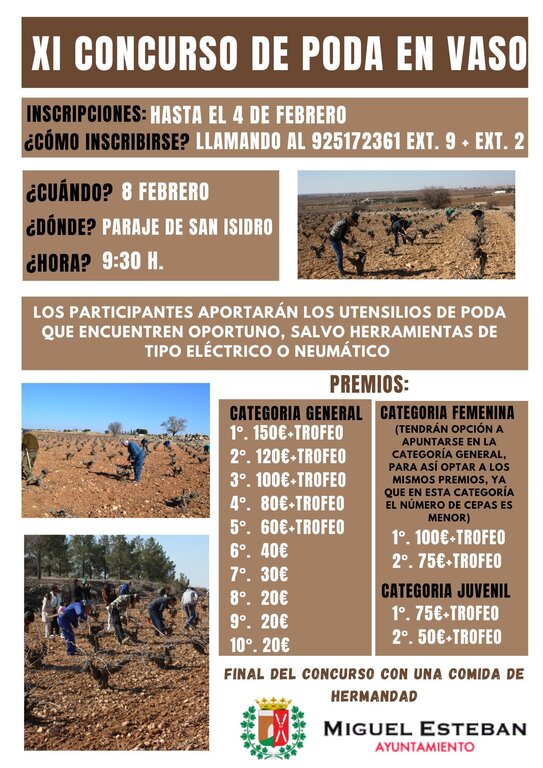 XI CONCURSO DE PODA REGIONAL