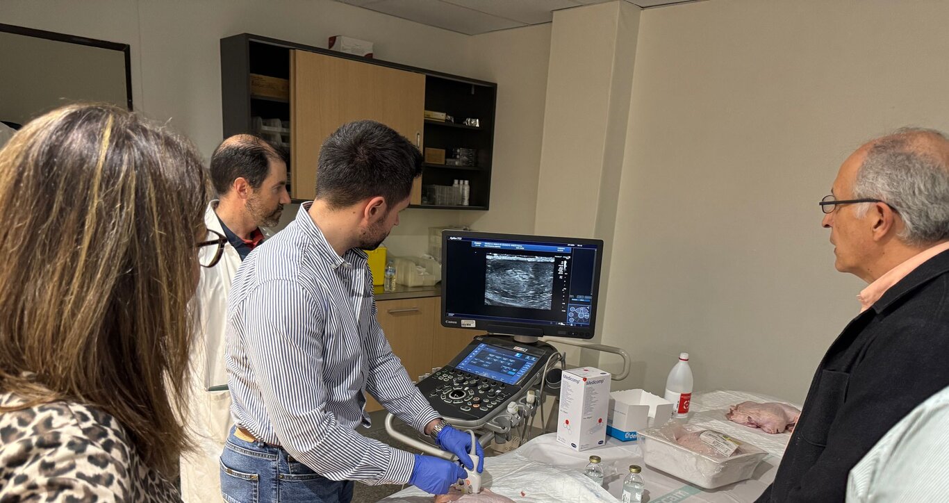 F2 Curso Neurología Alcázar