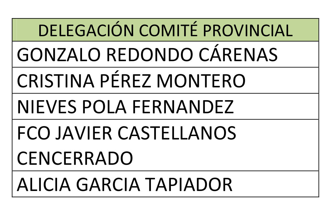 CANDIDATURA DELEGACIÃ_N COMITE PROVINCIAL ALCÃ_ZAR DE SAN JUAN 2025 - GONZALO REDONDO CÃ_RDENAS-1