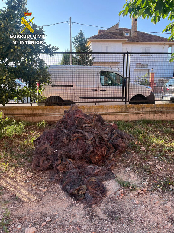 2025-07-12 Foto Prensa 1