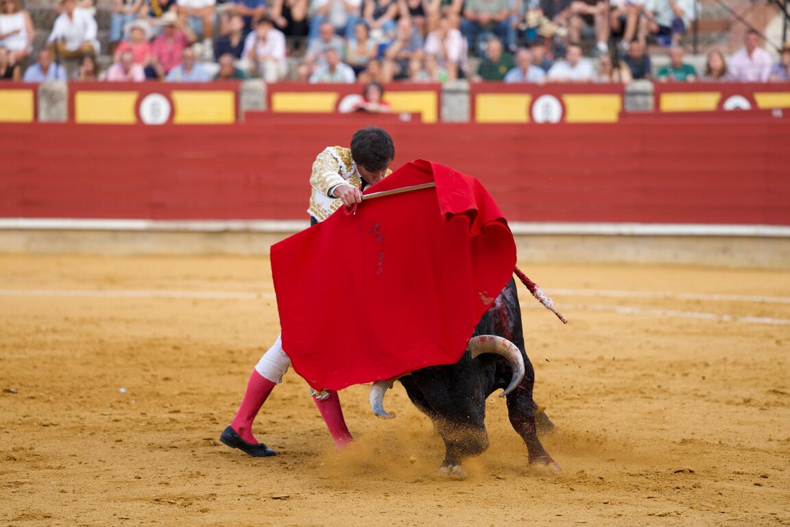 5fb8ab0b-a74b-79bf-6804-f07c84b5aebb