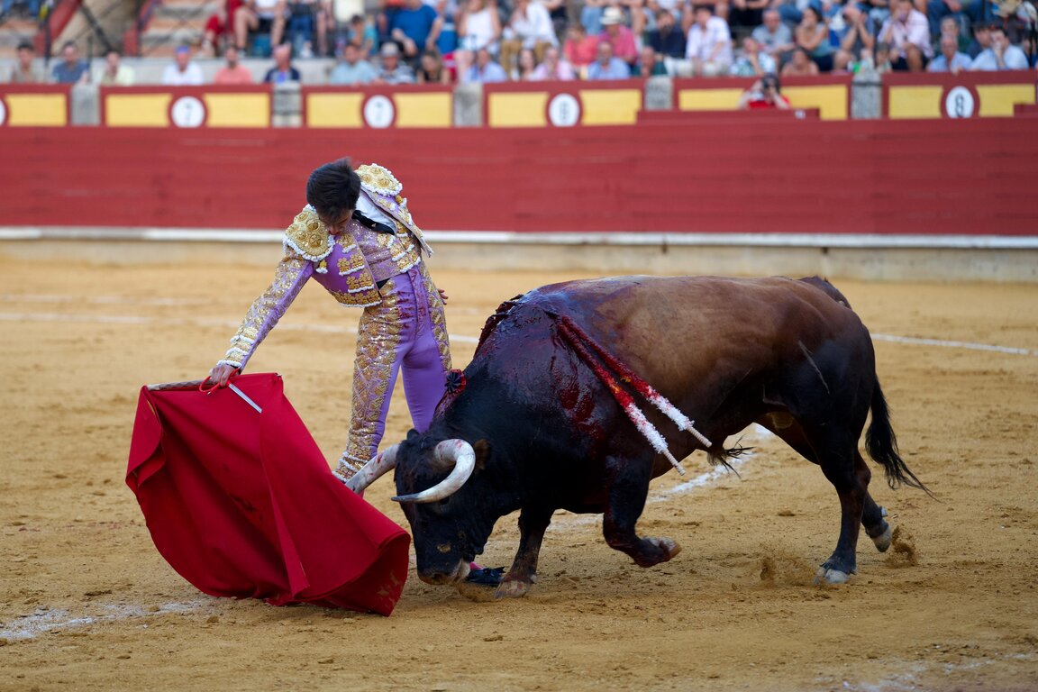 8bd6dcd1-ba94-1ffc-5682-857b3aed91ba