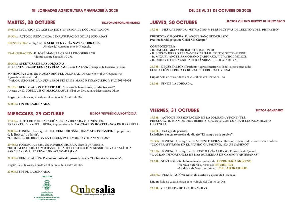 WhatsApp-Image-2025-10-22-at-13.00.02-1024x728