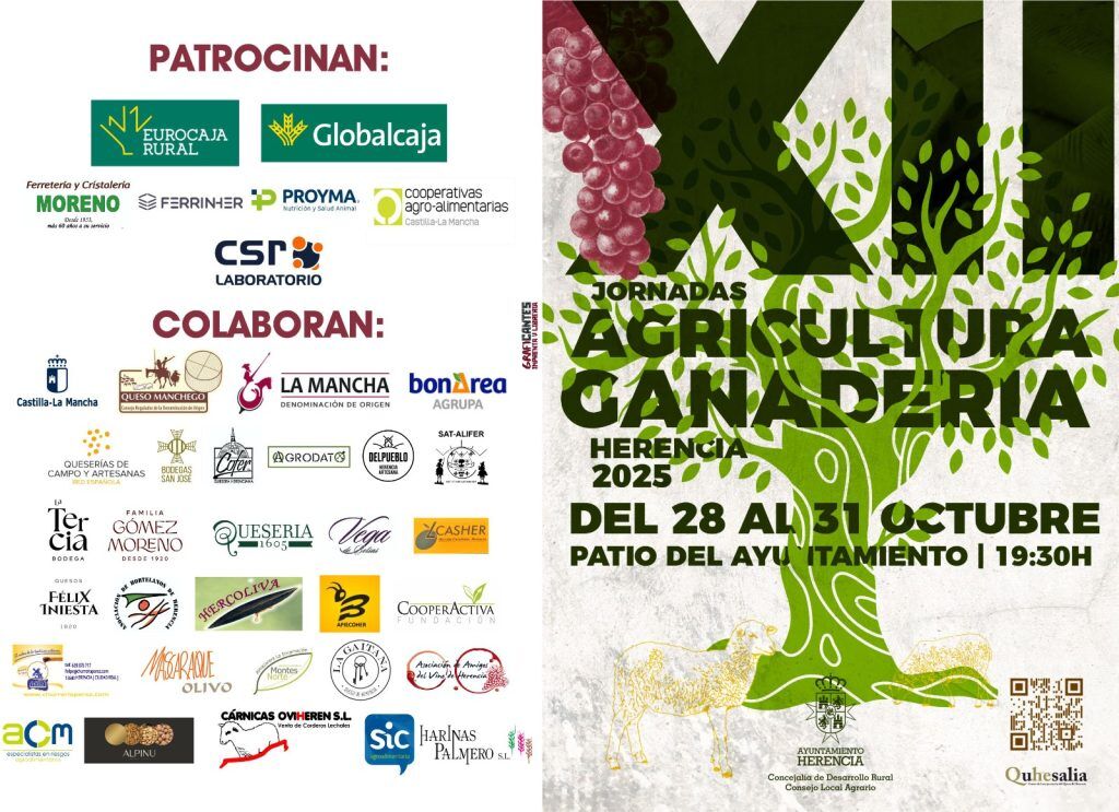 WhatsApp-Image-2025-10-22-at-13.00.02-1-1024x743