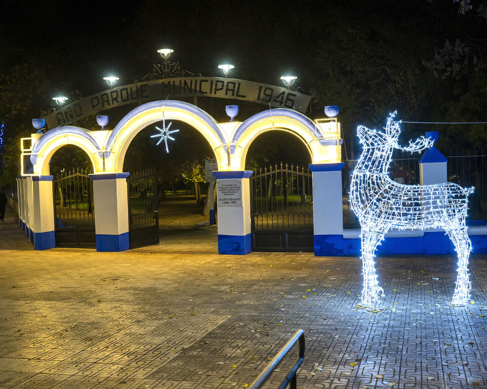 Encendido Luces Navidad + 2025-00250