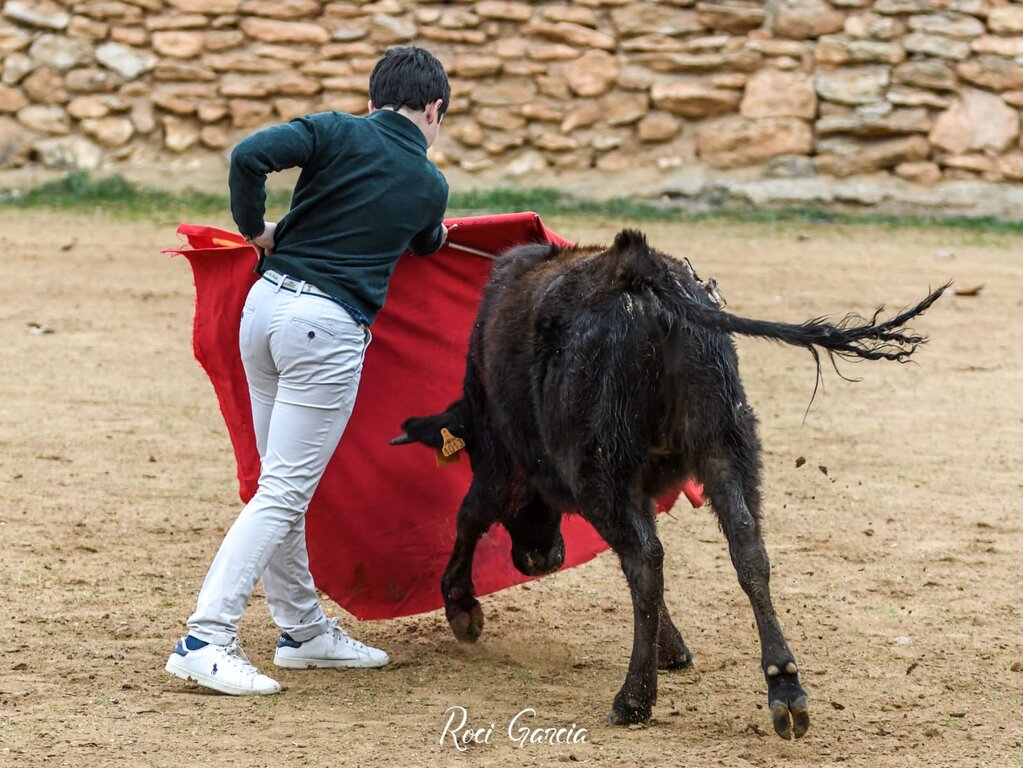 WhatsApp Image 2026-01-06 at 09.47.47(1)