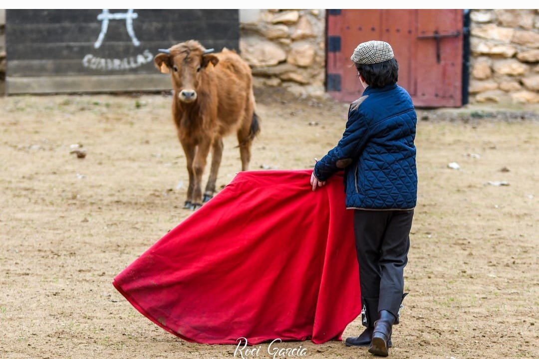 WhatsApp Image 2026-01-06 at 09.47.46