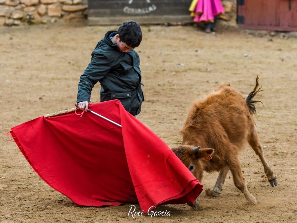 WhatsApp Image 2026-01-06 at 09.47.46(2)