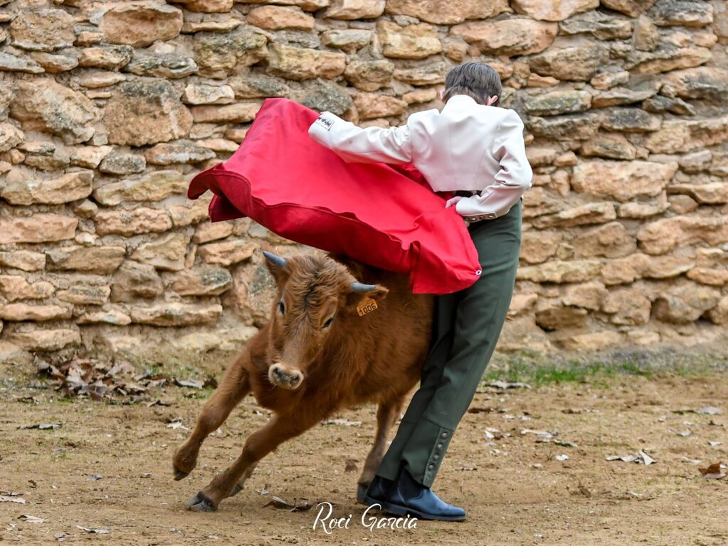 WhatsApp Image 2026-01-06 at 09.47.46(1)