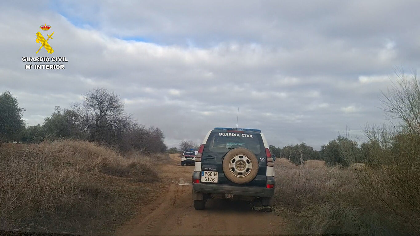 op_campana_olivarera_toledo_editada.00_00_07_12.Imagen fija002