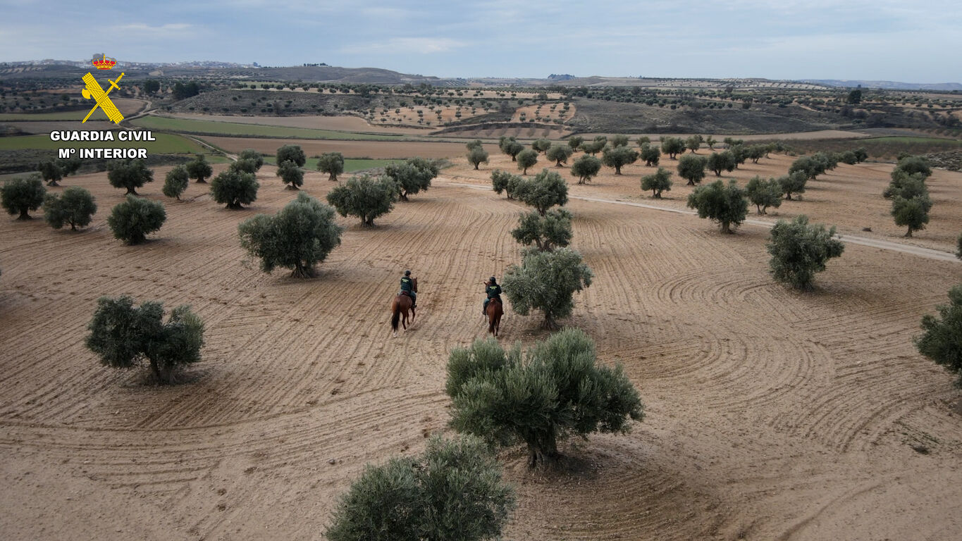 op_campana_olivarera_toledo_editada.00_00_18_09.Imagen fija004