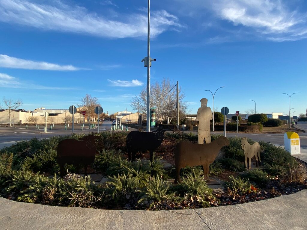 WhatsApp Image 2026-01-22 at 12.49.03