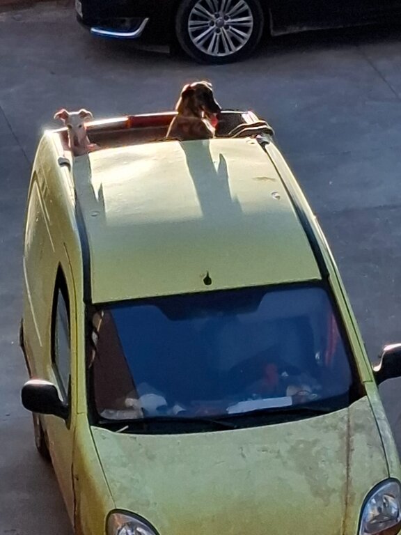 WhatsApp Image 2026-01-22 at 18.55.23(3)