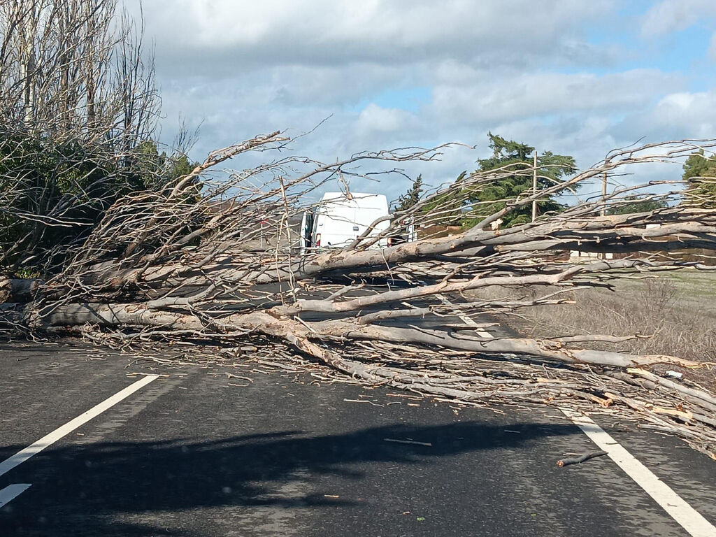 8c2e8a8a31b434f53c0c1fb11aaaeb3e_5_XL